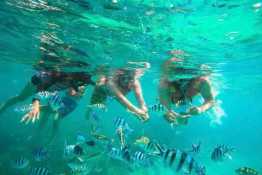 Tour lặn biển Nha Trang - Hòn Mun/ Đầm Bấy 1 ngày
